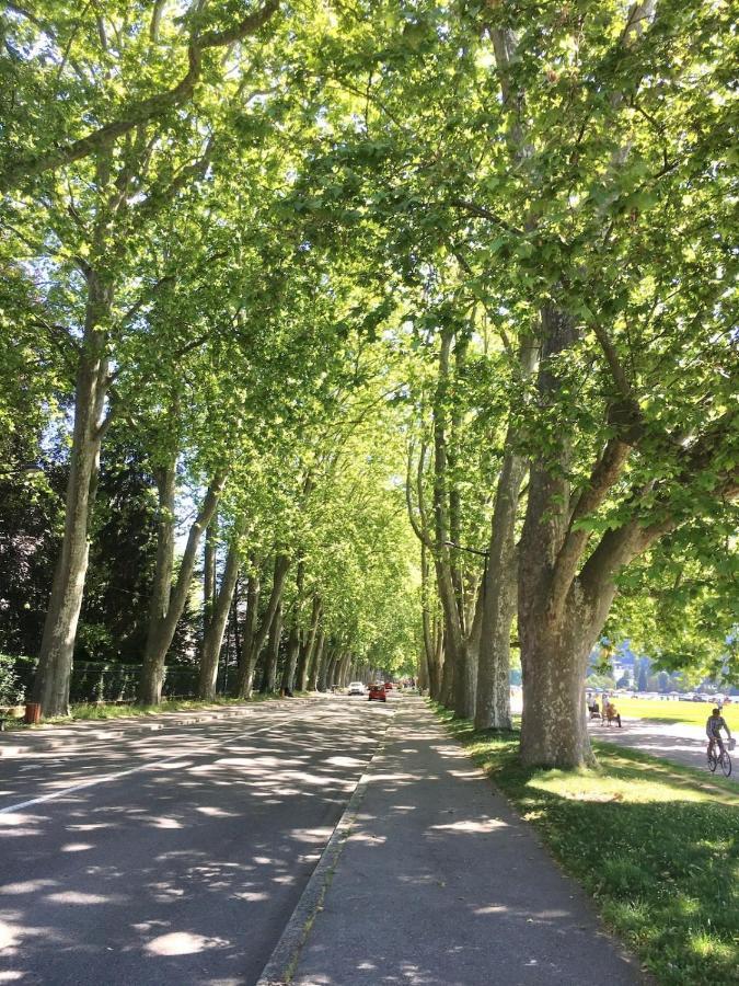 Annecy Center 2 Steps From The Lake Cozy And Renovated! 외부 사진